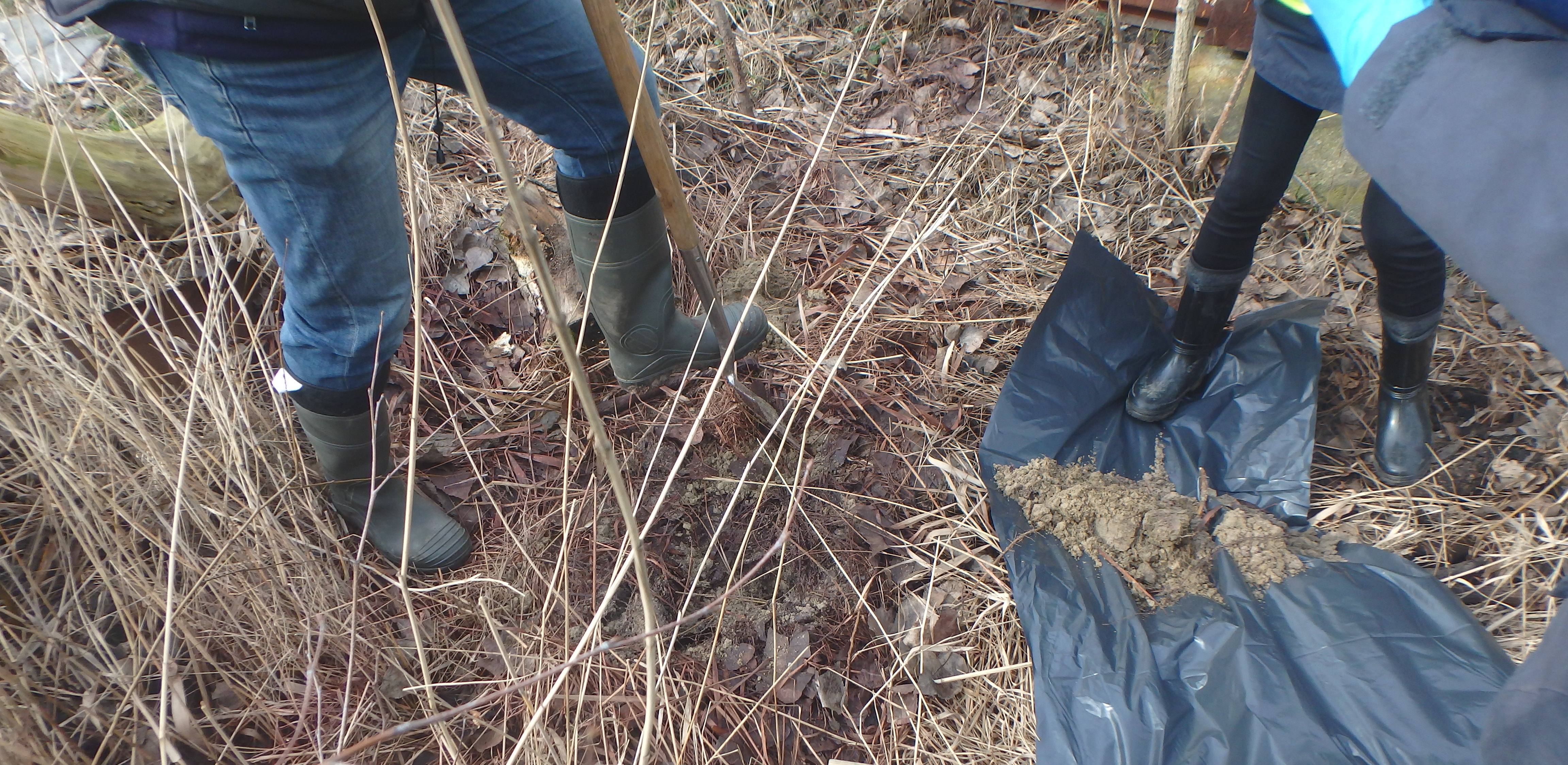 (Fot. WIOŚ w Gdańsku)