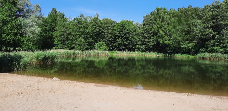 (fot. Radio Gdańsk/Wojtek Nowak)