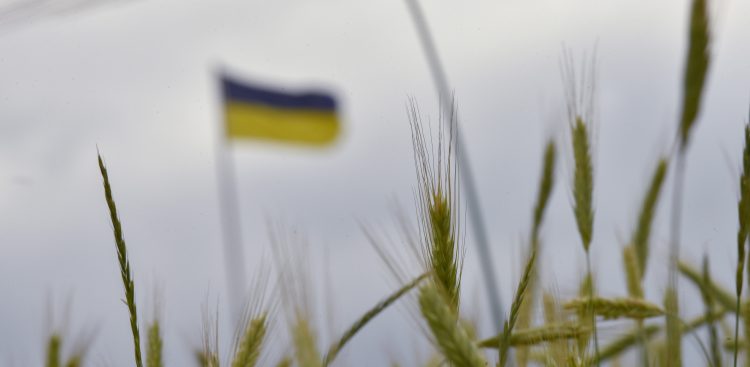 (Fot. EPA/OLEG PETRASYUK Dostawca: PAP/EPA)