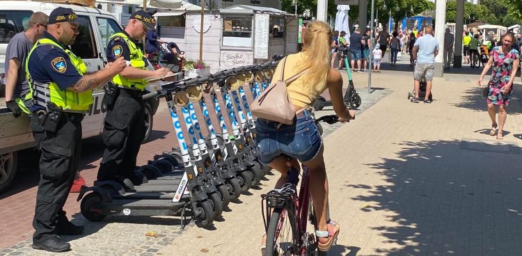 (Fot. materiały UMS)