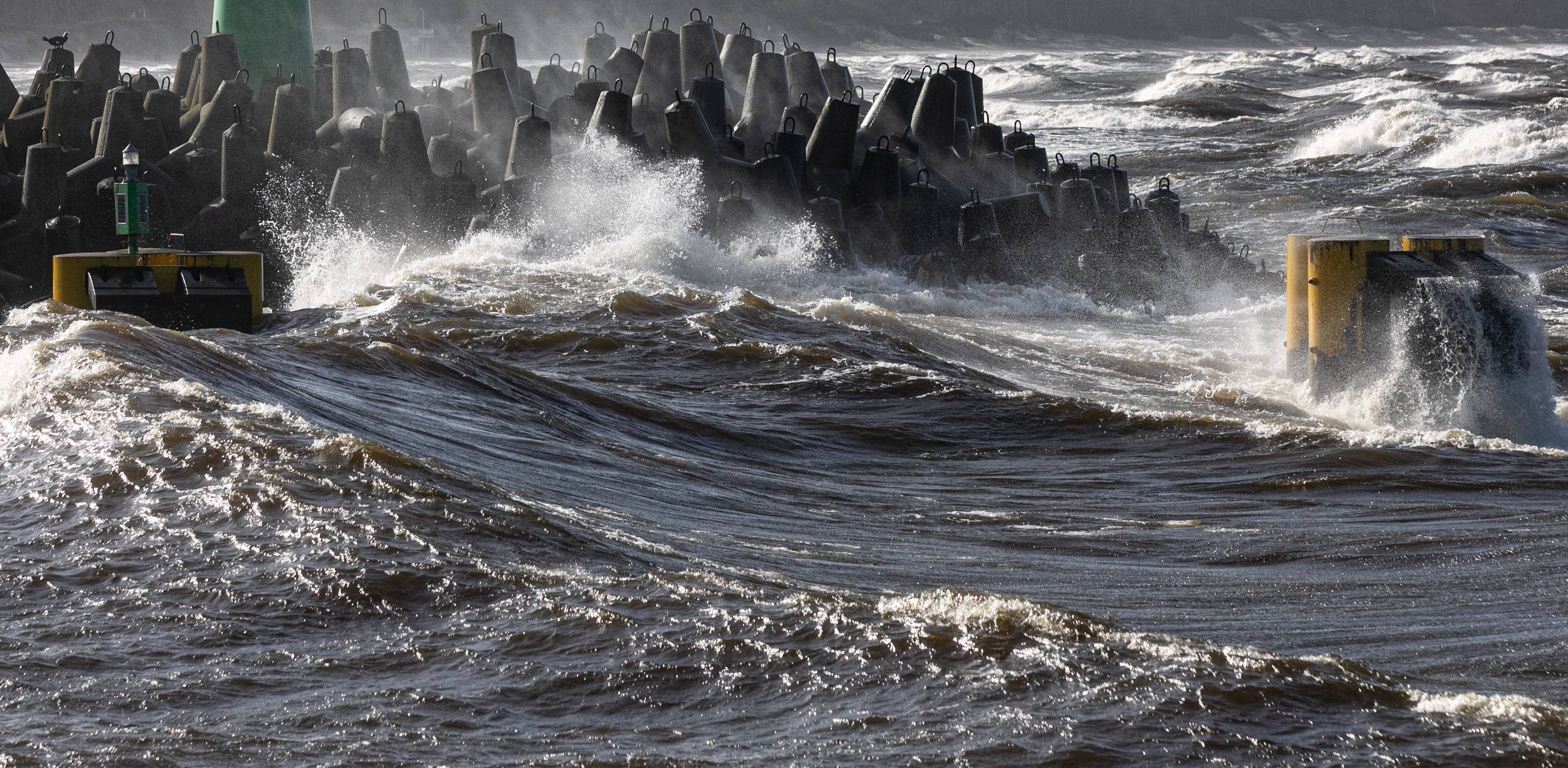 (Fot. Krzysztof Mystkowski / KFP)