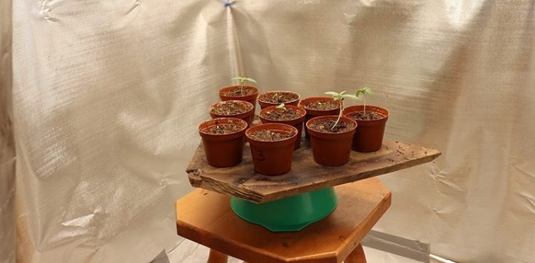 (Fot. screen YouTube)