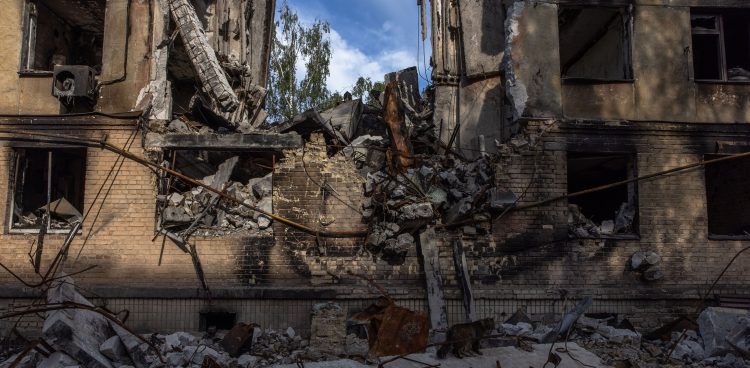 (Fot. EPA/ROMAN PILIPEY Dostawca: PAP/EPA)