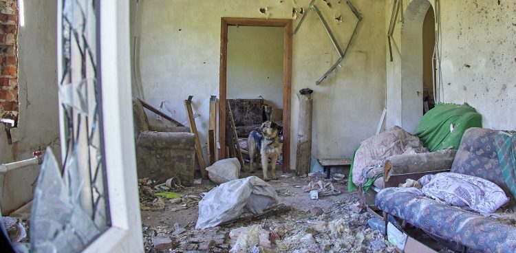 (Fot. EPA/SERGEY KOZLOV Dostawca: PAP/EPA)