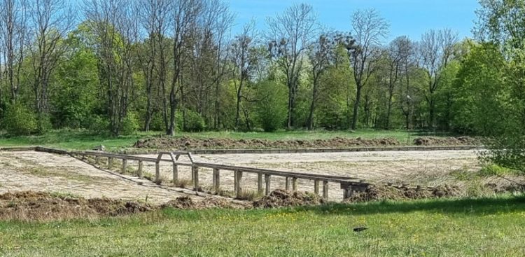 (Fot. UM w Elblągu)