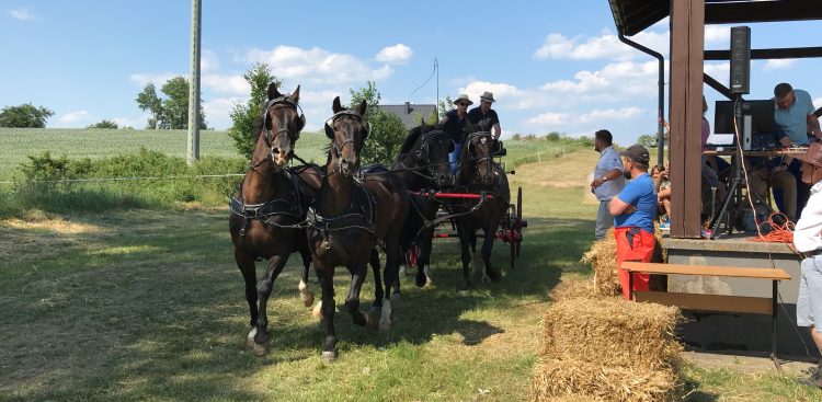 (Fot. Radio Gdańsk/Robert Groth)