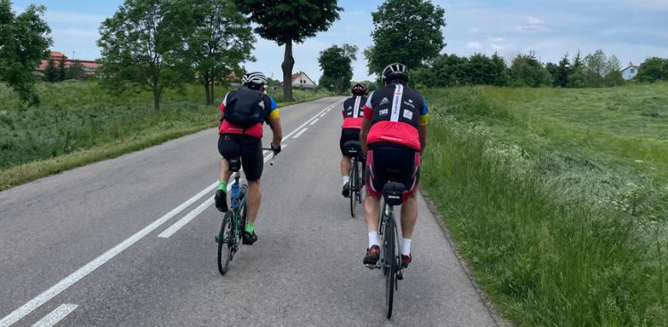 (fot. Alina Foundation)