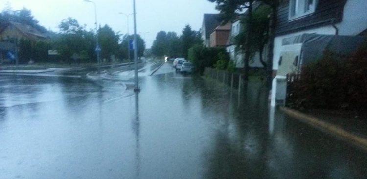 Fot. Przemysław Woś