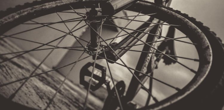 zdjęcie ilustracyjne (fot. Pixabay)