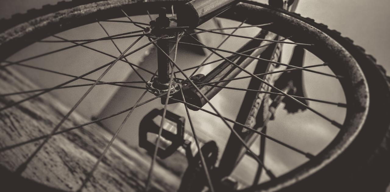 zdjęcie ilustracyjne (fot. Pixabay)