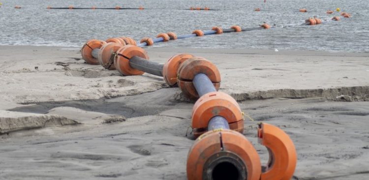 (fot. UM Gdynia/Sławomir Okoń)