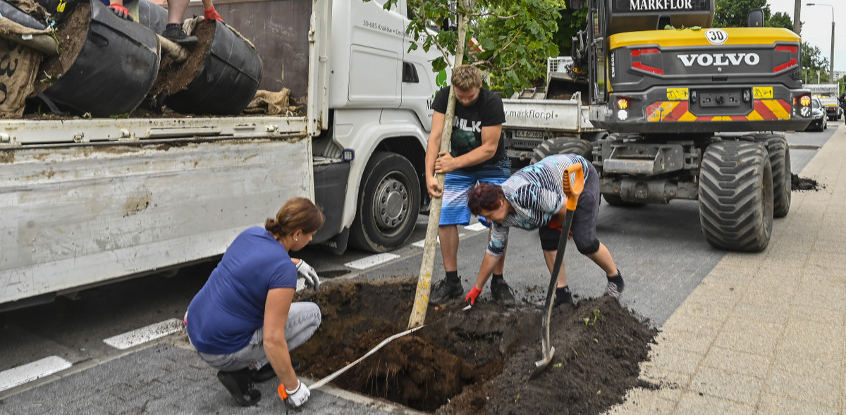 (fot. Zarząd Dróg i Zieleni w Sopocie/Jerzy Bartkowski)
