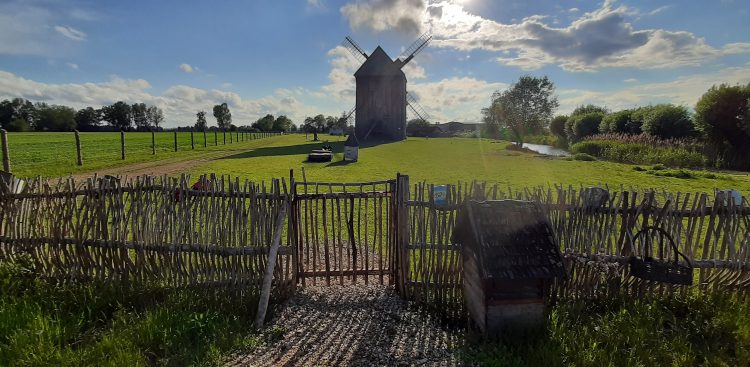 (Fot. W. Raszkiewicz)