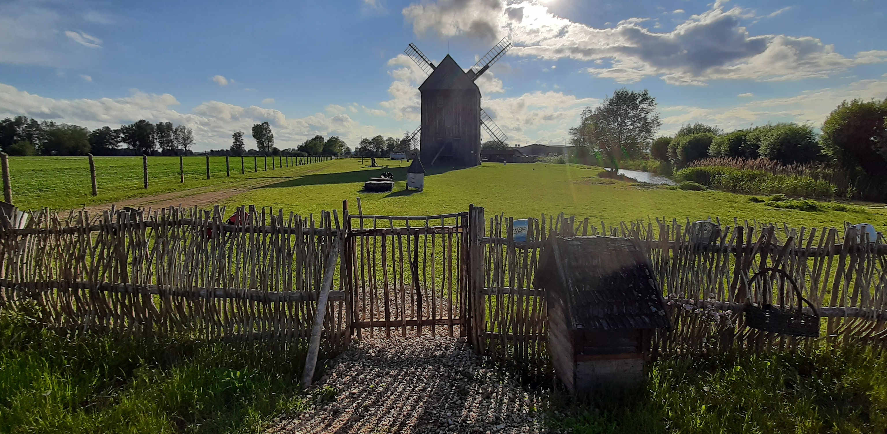 (Fot. W. Raszkiewicz)