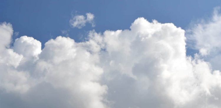 (Fot. Marcu Loachim/Pixnio)