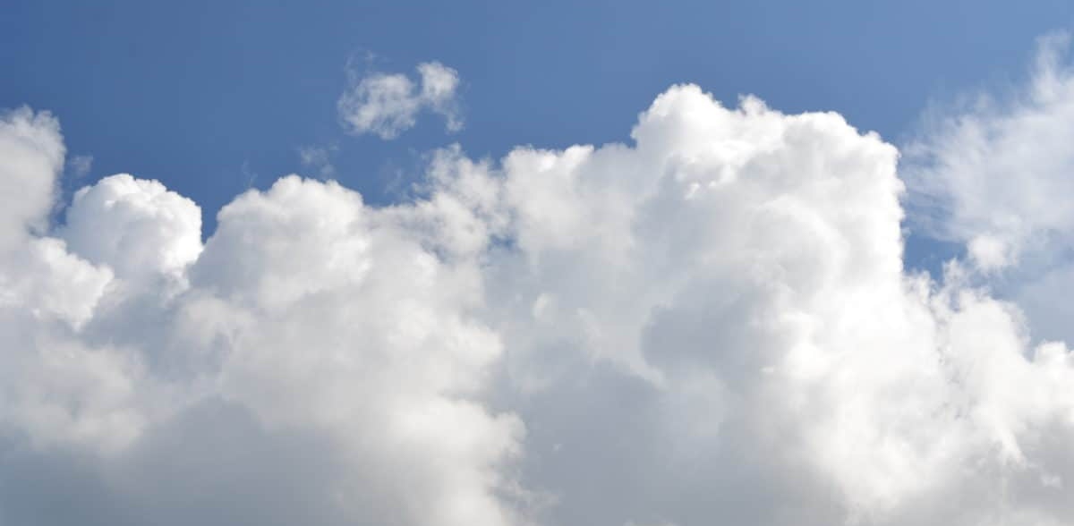 (Fot. Marcu Loachim/Pixnio)