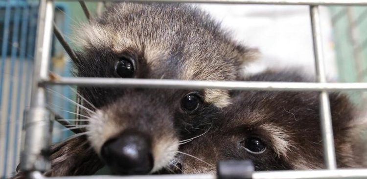 (Fot. gdansk.pl/Grzegorz Mehring)