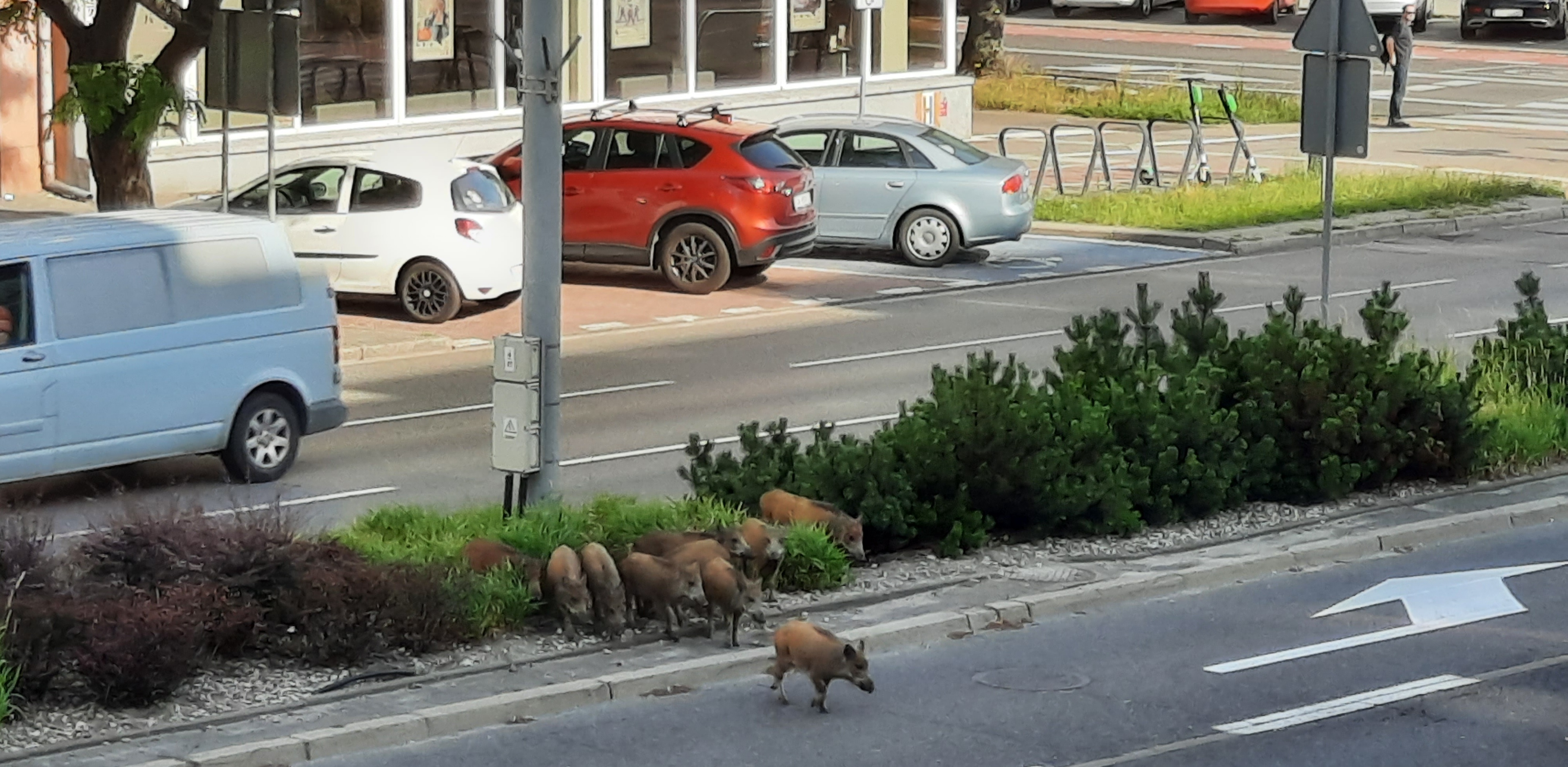 (Fot. Radio Gdańsk/Marcin Lange)