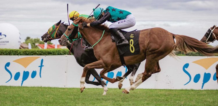 (Fot. mat. prasowe/Monika Metza-Jodłowska)