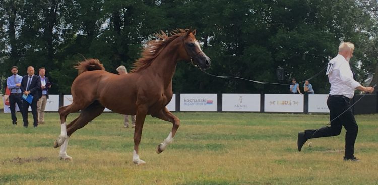 (fot. Radio Gdańsk/Aleksandra Trembicka)