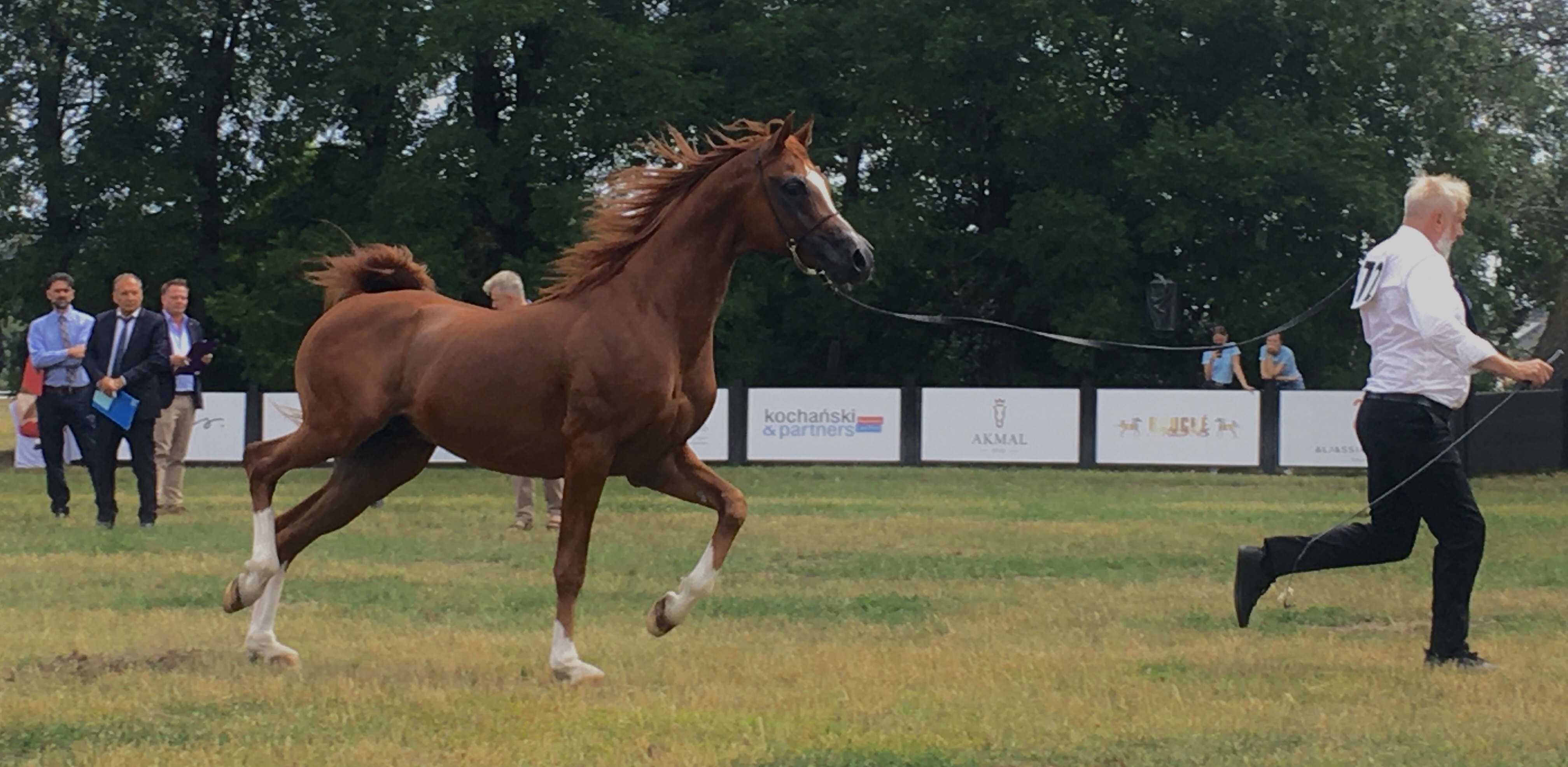 (fot. Radio Gdańsk/Aleksandra Trembicka)