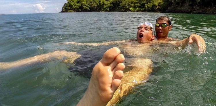 (fot. Wikimedia Commons)