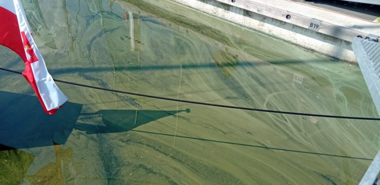 Marina w Gdyni
(Fot. J. Zdroik)