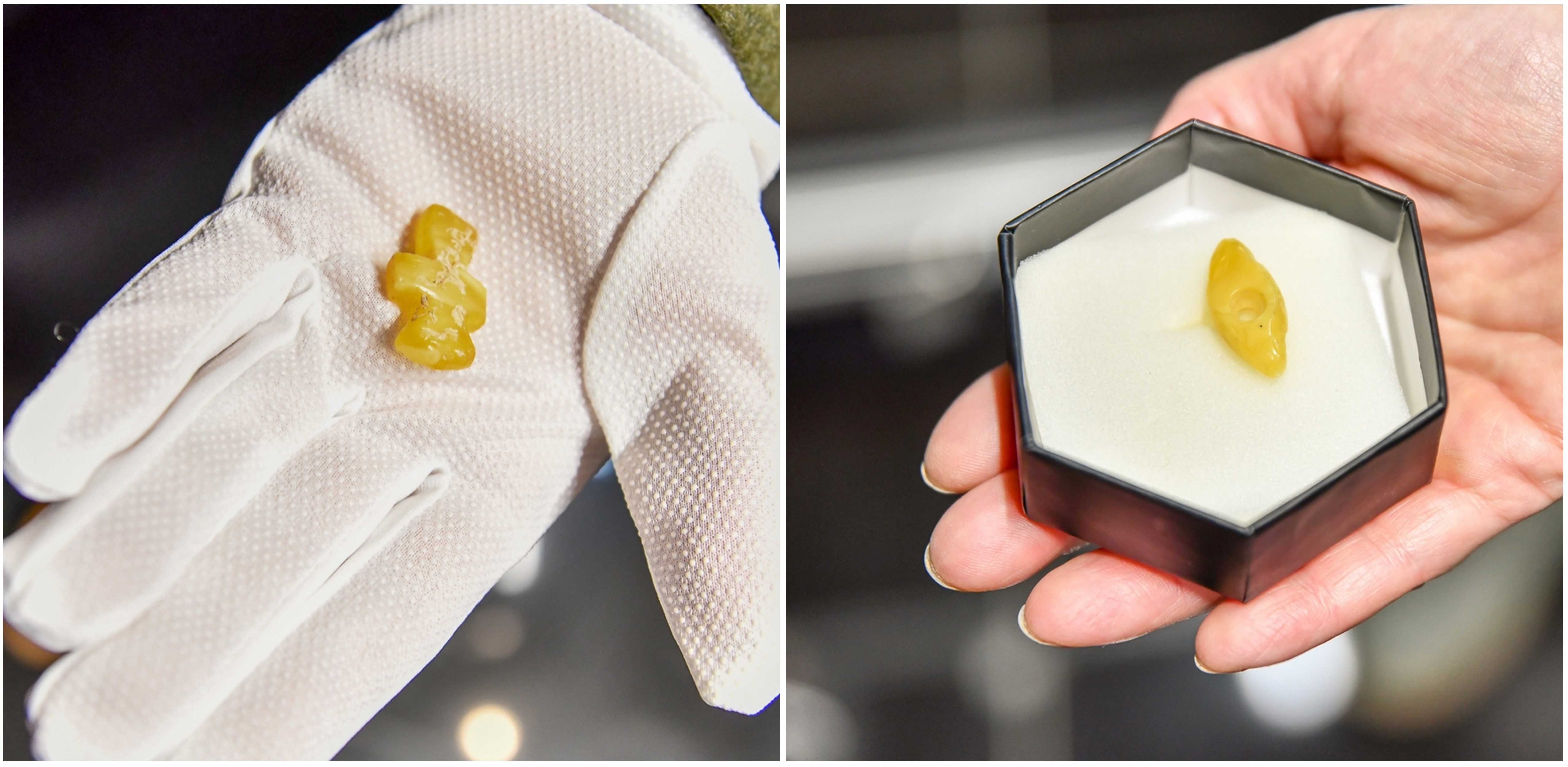 (fot. Muzeum Gdańska)