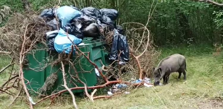 (Fot. Facebook/Wojtek Wardejn)