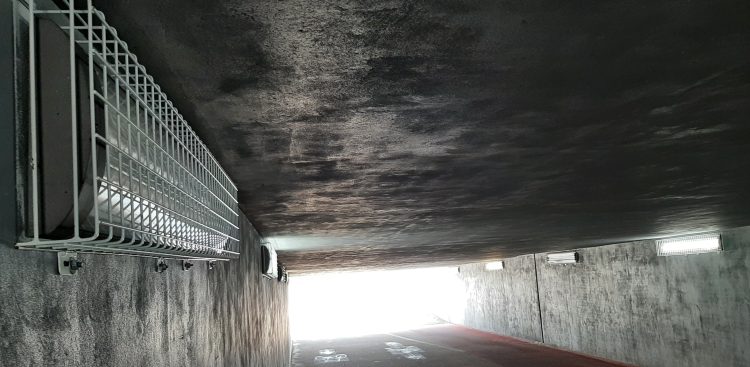 (Fot. Radio Gdańsk/Sebastian Kwiatkowski)