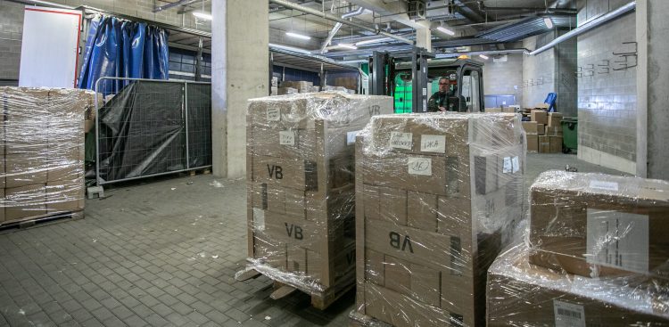 (Fot. Agencja KFP/Krzysztof Mystkowski)