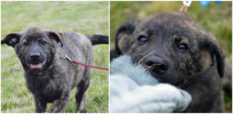 (fot. Radio Gdańsk/Joanna Merecka-Łotysz)