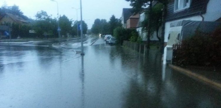 Fot. Przemysław Woś