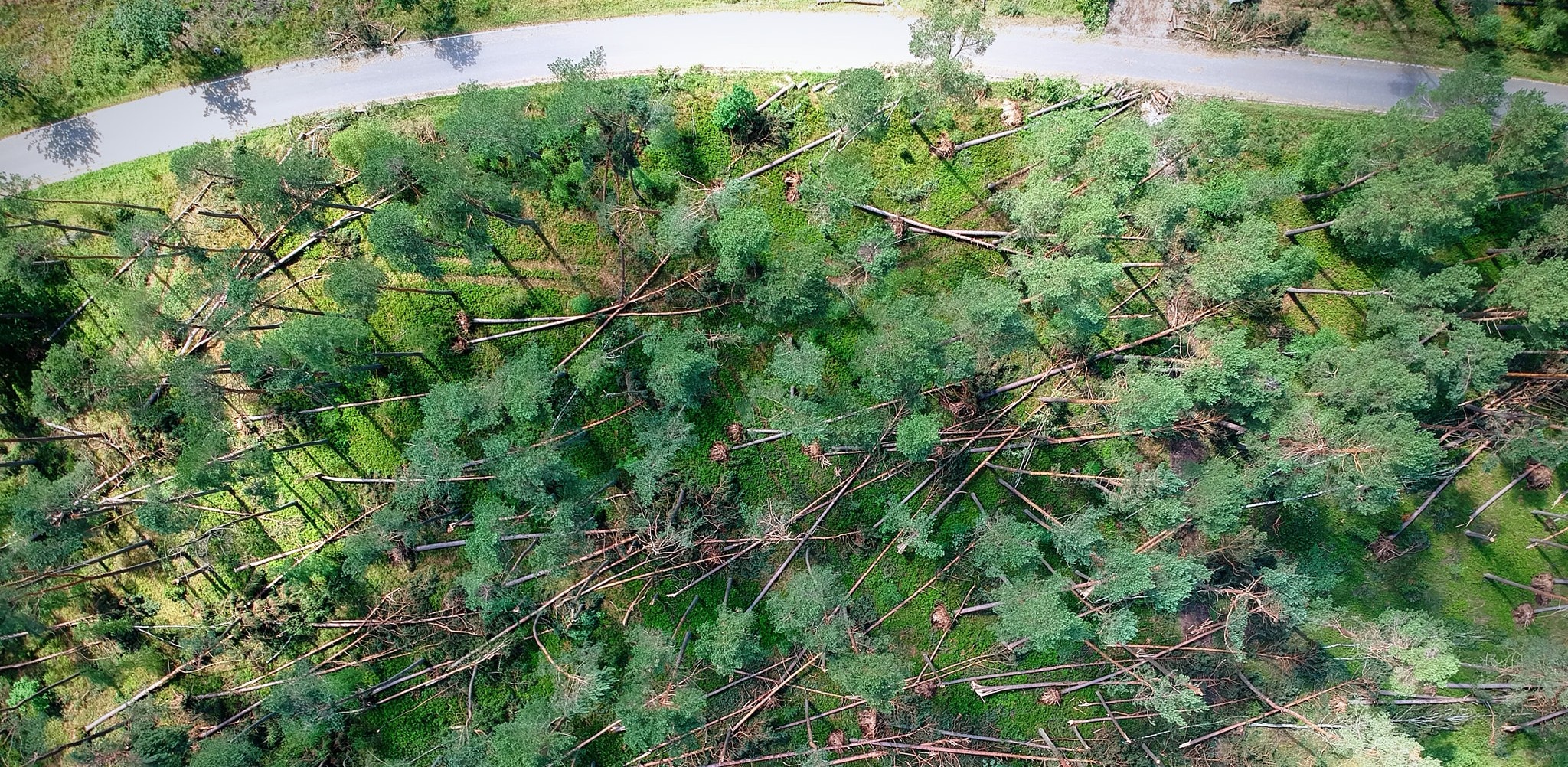 (Fot. Facebook/Leszek Pałys)