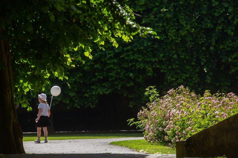 (fot. Anna Rezulak / KFP)