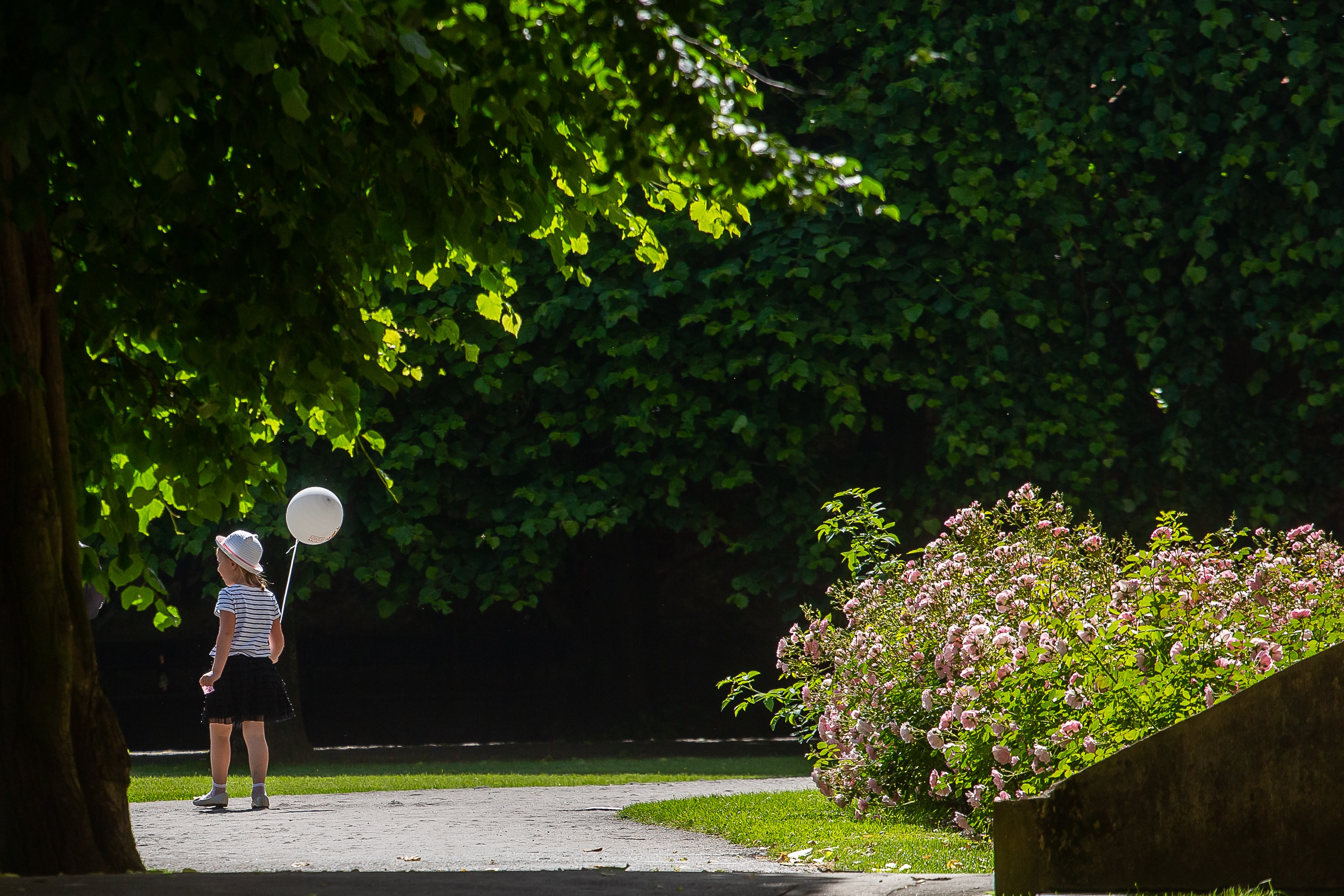 (fot. Anna Rezulak / KFP)