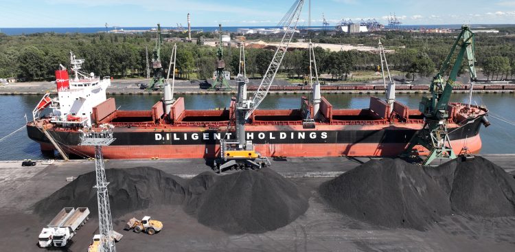 (fot. materiały prasowe)