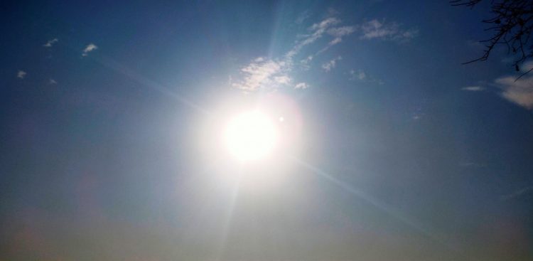 (Fot. PxHere/Divesh Ray)