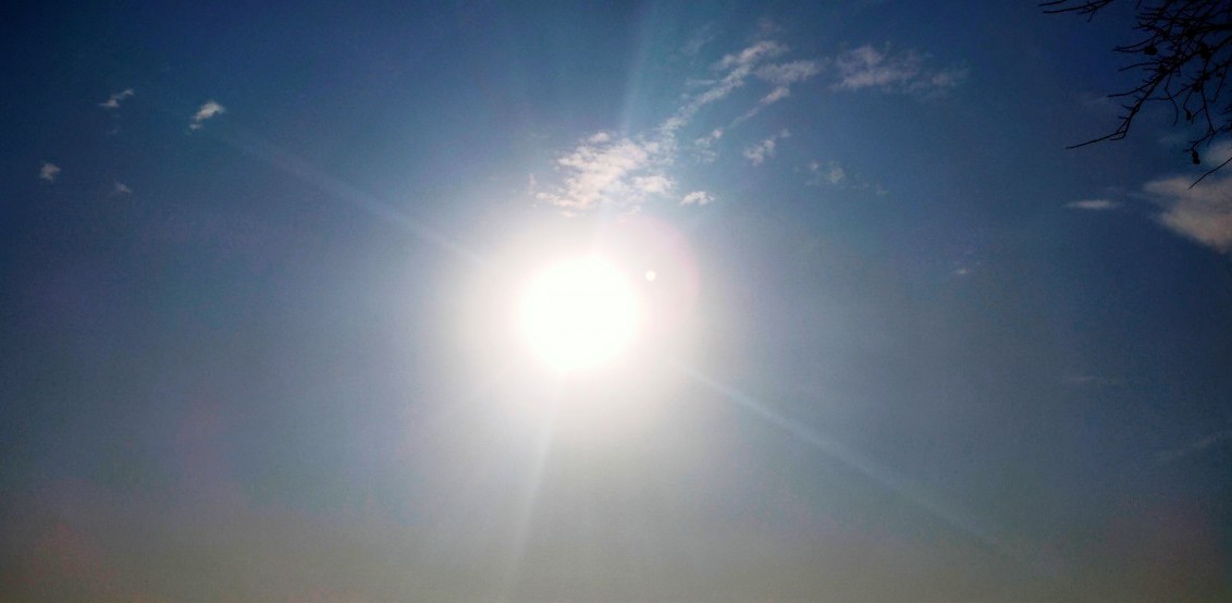 (Fot. PxHere/Divesh Ray)