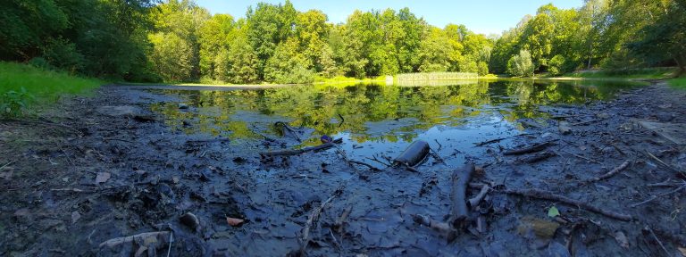 (Fot. Radio Gdańsk/Edyta Stracewska)