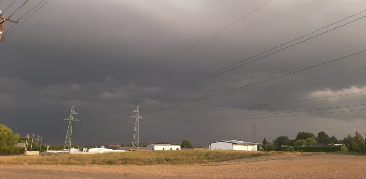 (fot. Radio Gdańsk/Sebastian Kwiatkowski)