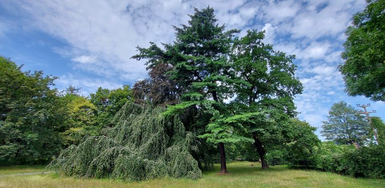 (fot. Radio Gdańsk/Edyta Stracewska)