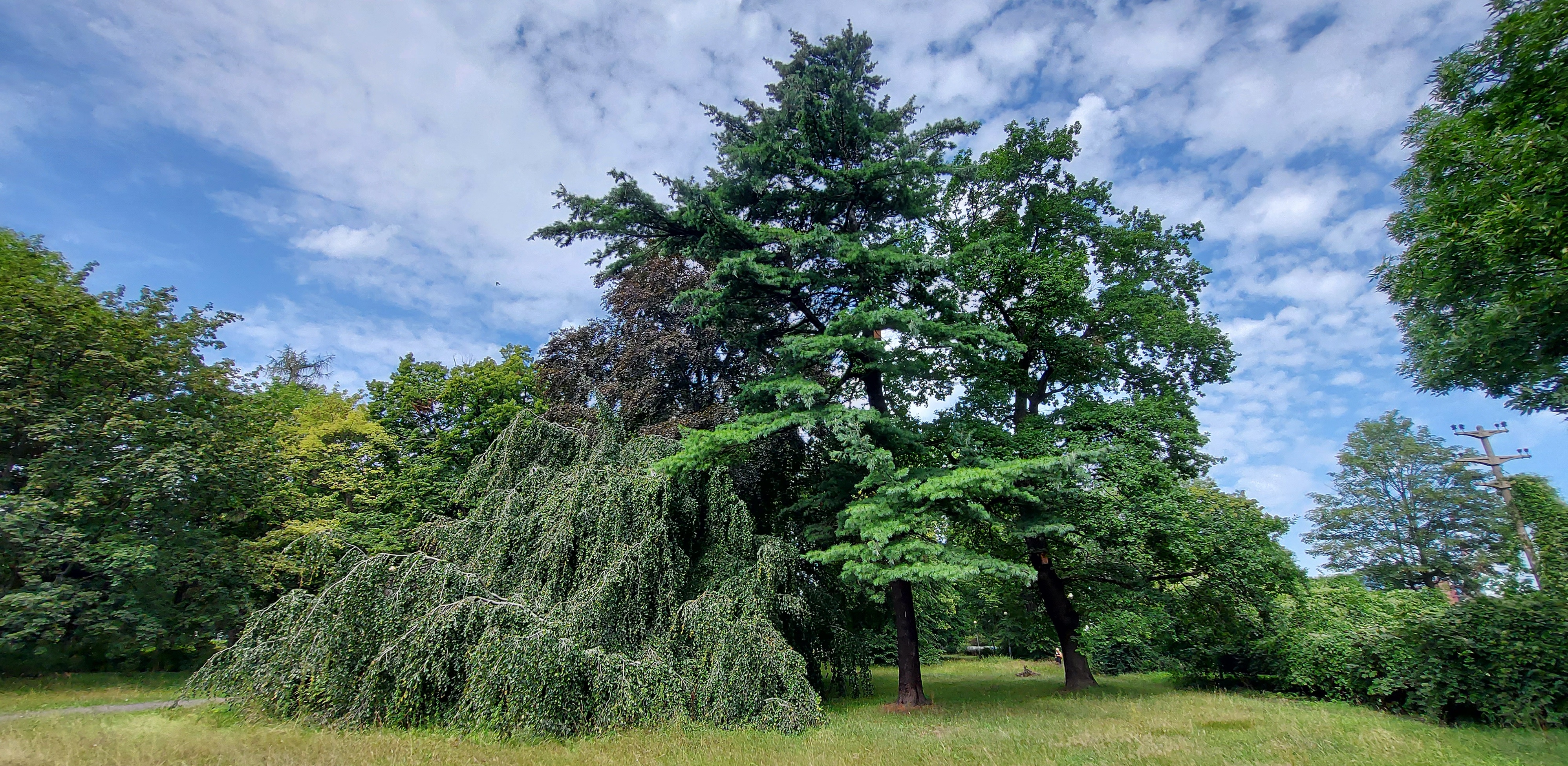 (fot. Radio Gdańsk/Edyta Stracewska)