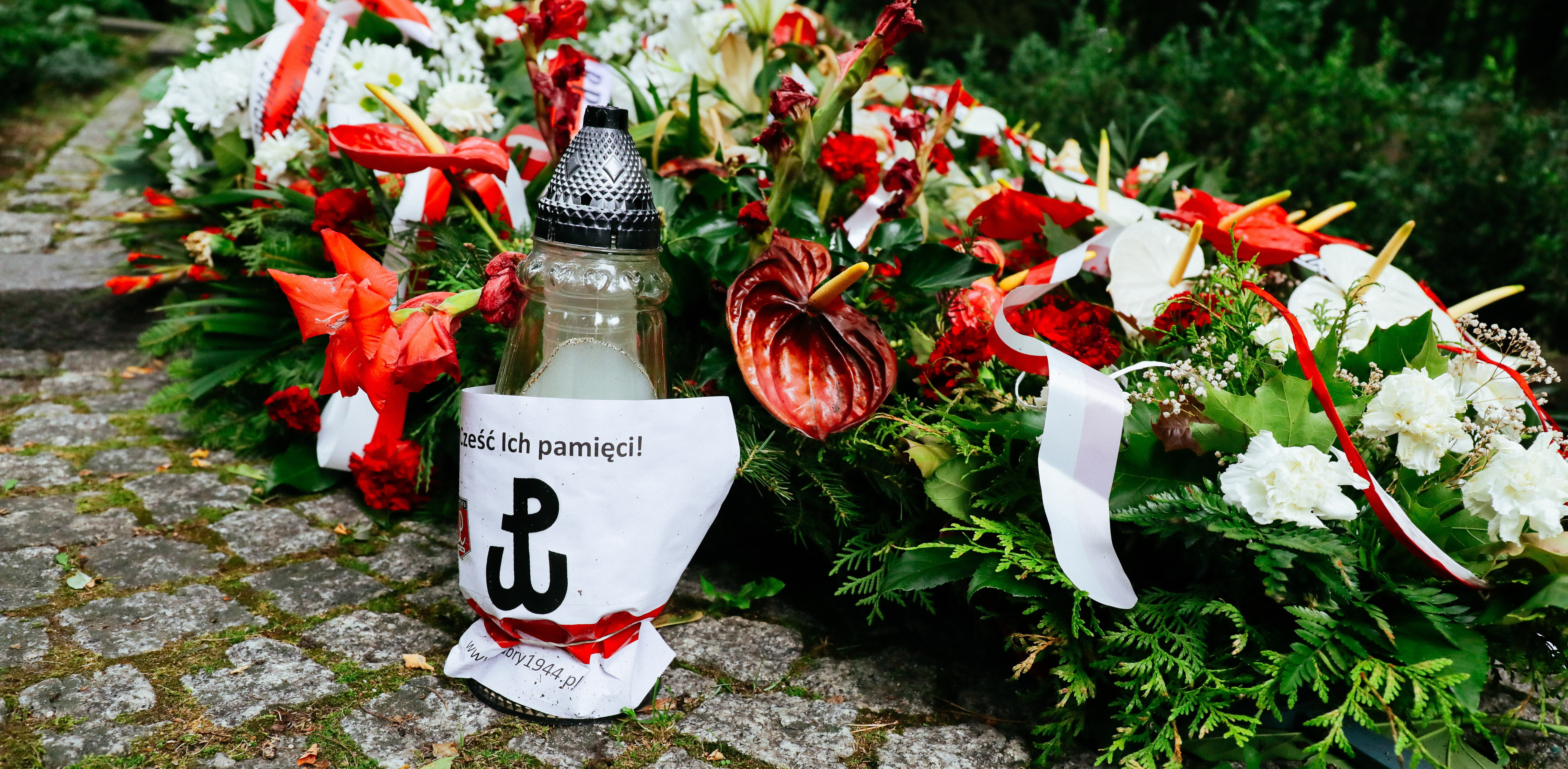 (Fot. PAP/Albert Zawada)