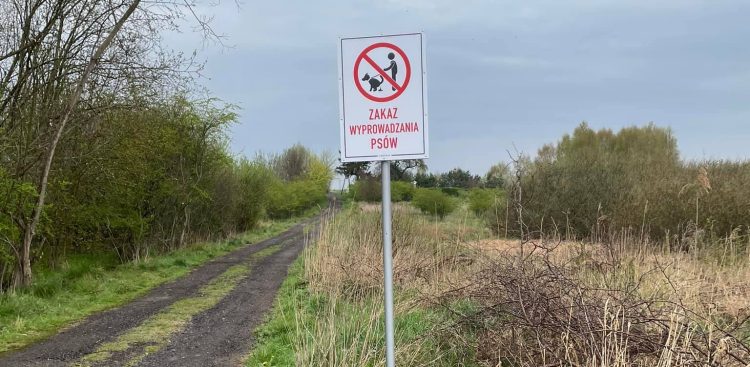 (fot. Schronisko dla Zwierząt w Słupsku)