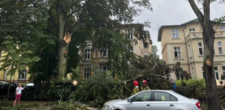(fot. Facebook/Forum Mieszkańców i Mieszkanek dla Sopotu)