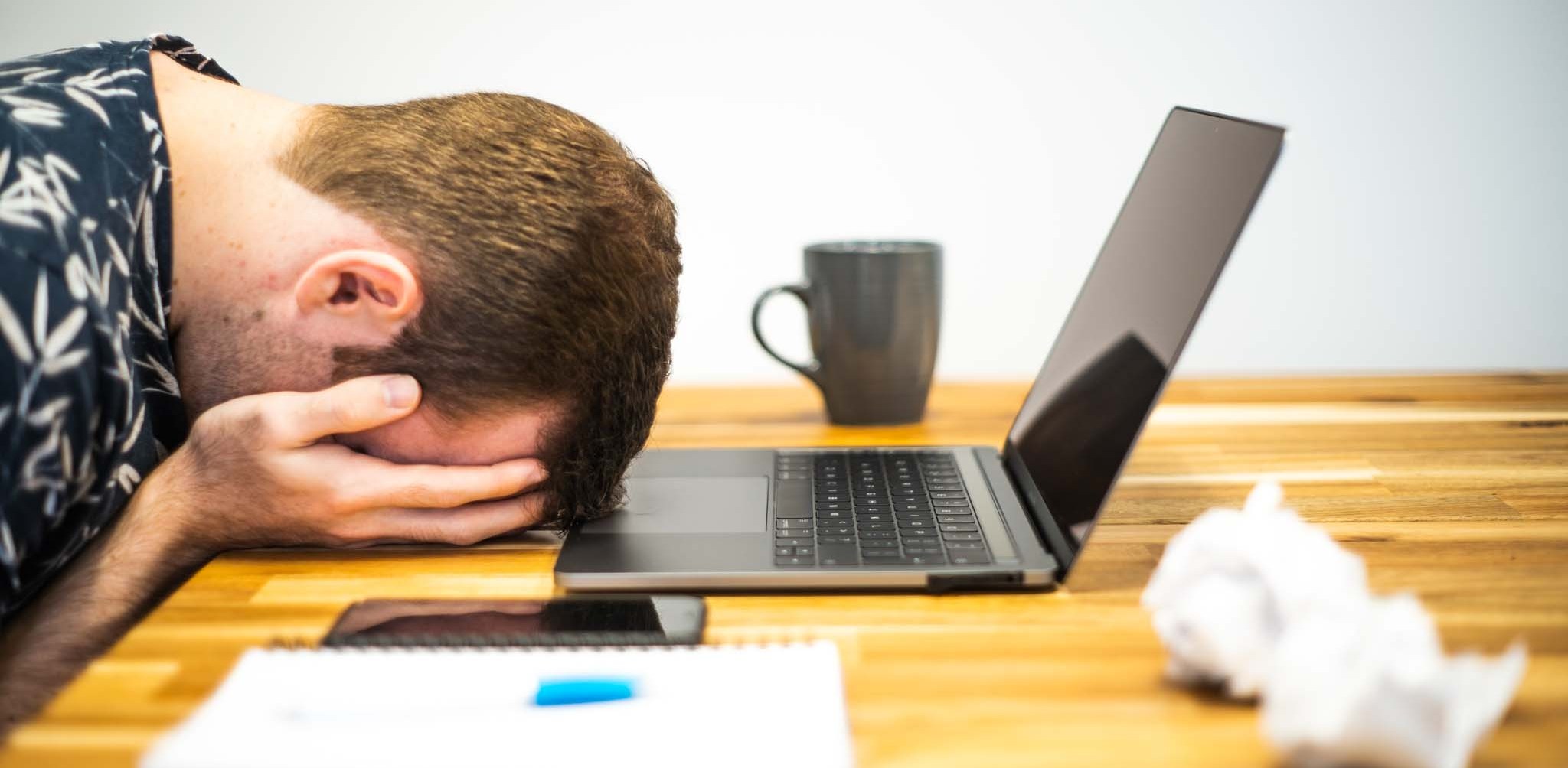 (fot. Wikimedia Commons/	Microbiz Mag)