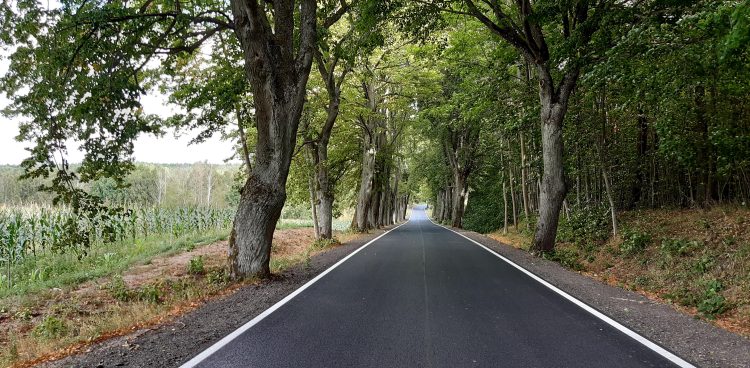 (Fot. Wikimedia Commons/Borys Kozielski)