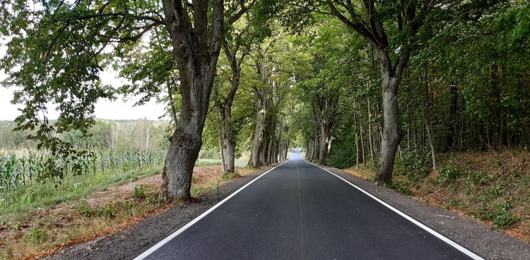 (Fot. Wikimedia Commons/Borys Kozielski)