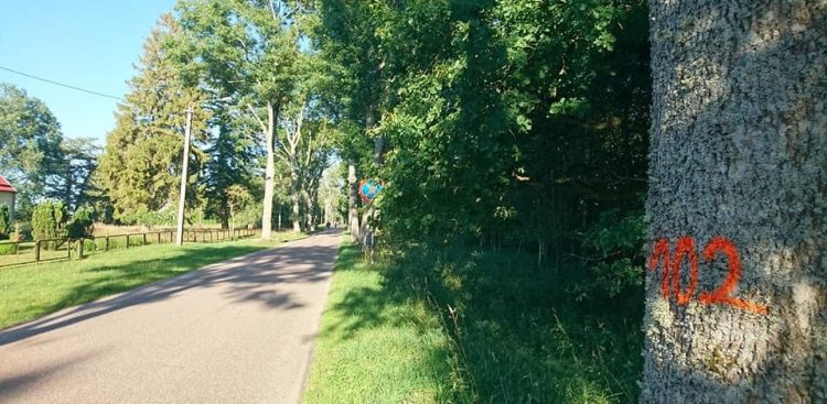 (Fot. Facebook/Rowokół i wszystko co wokół)